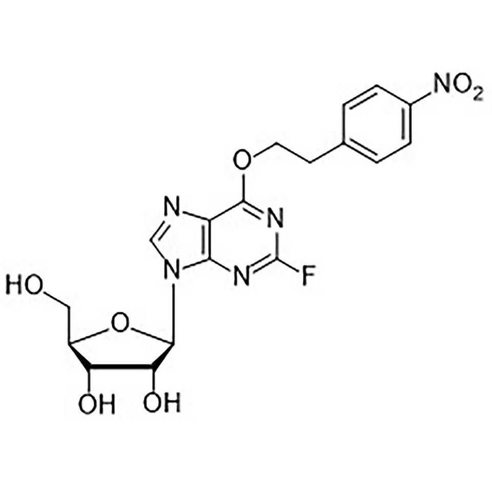 2-Fluoro-6-O-(2-(4-nitrophenyl)ethyl)-inosine, 100 mg, Glass Screw-Top
